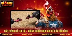 Các Giống Gà Tre Đá - Những Chiến Binh Nhỏ Bé Đầy Bản Lĩnh