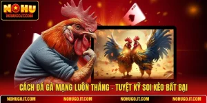 Cách Đá Gà Mạng Luôn Thắng - Tuyệt Kỹ Soi Kèo Bất Bại