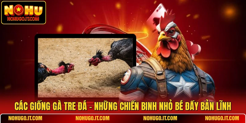 Các Giống Gà Tre Đá - Những Chiến Binh Nhỏ Bé Đầy Bản Lĩnh