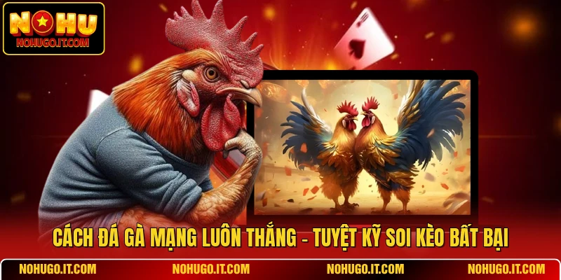 Cách Đá Gà Mạng Luôn Thắng - Tuyệt Kỹ Soi Kèo Bất Bại