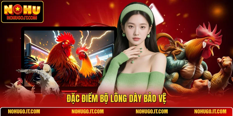 Đặc điểm bộ lông dày bảo vệ