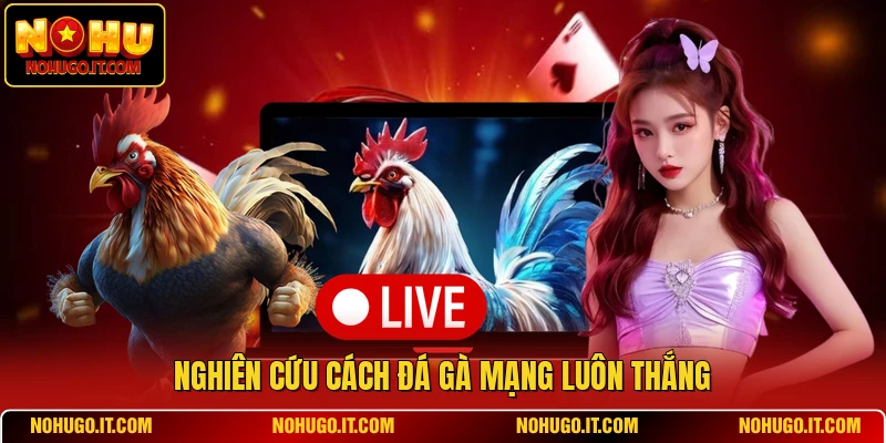 Nghiên cứu cách đá gà mạng luôn thắng