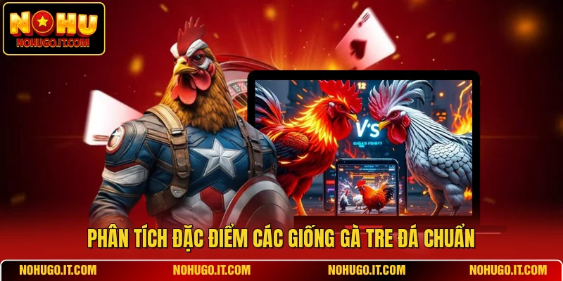 Phân tích đặc điểm các giống gà tre đá chuẩn