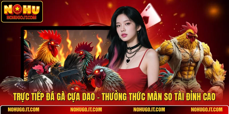 Trực Tiếp Đá Gà Cựa Dao - Thưởng Thức Màn So Tài Đỉnh Cao